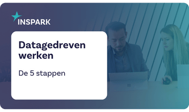 Whitepaper Datagedreven werken preview